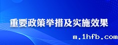 重要政策举措及实施效果